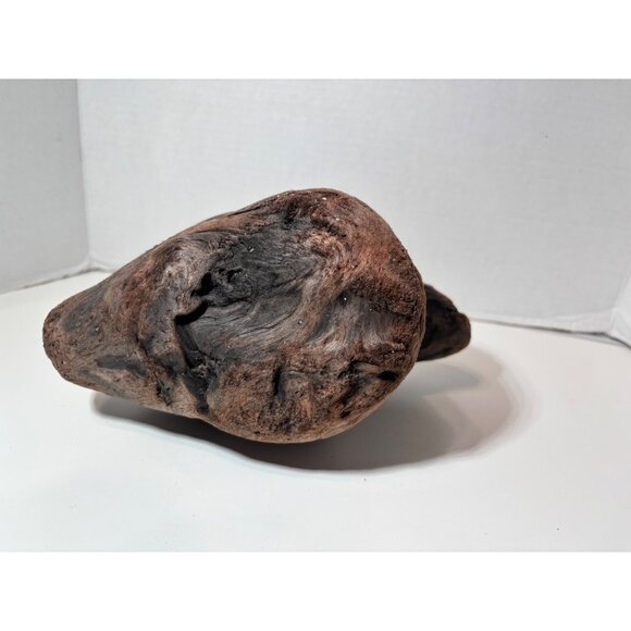 Unique heart-shaped driftwood Northern California Aquarium Decor - Picture 3 of 4